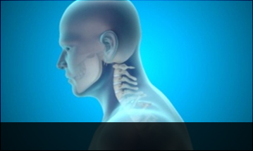 노원자생한방병원 목질환 일자목증후군-정상적인 C자형 목뼈 모습입니다.